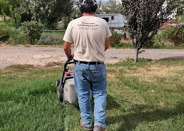 Lawn Mowing & Maintenance