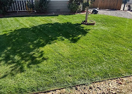 Lawn Care