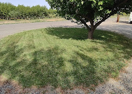 General Landscaping