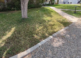 Yard Cleanup